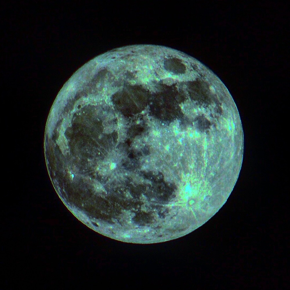 Meet your Posher, Ella